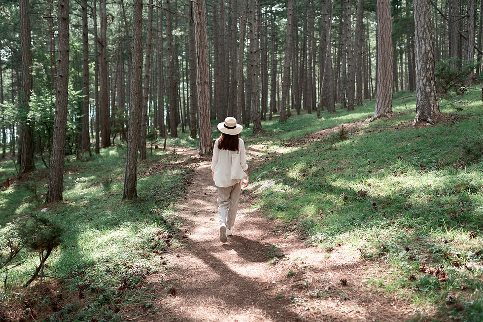Walking the Labyrinth, Part 2